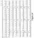 Fig. 07 - Nucleic acid encoding GAD65