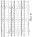 Fig. 09 - Nucleic acid encoding GAD65