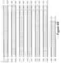 Fig. 12 - Nucleic acid encoding GAD65