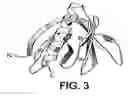 Fig. 04 - Protein encoded by a nucleic acid