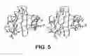 Fig. 06 - Protein encoded by a nucleic acid