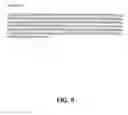 Fig. 10 - Protein encoded by a nucleic acid