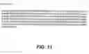 Fig. 12 - Protein encoded by a nucleic acid