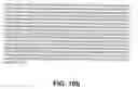 Fig. 20 - Protein encoded by a nucleic acid