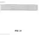 Fig. 23 - Protein encoded by a nucleic acid