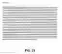 Fig. 27 - Protein encoded by a nucleic acid