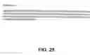 Fig. 29 - Protein encoded by a nucleic acid