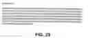 Fig. 33 - Protein encoded by a nucleic acid