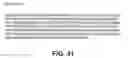 Fig. 35 - Protein encoded by a nucleic acid