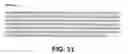 Fig. 37 - Protein encoded by a nucleic acid