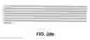 Fig. 43 - Protein encoded by a nucleic acid