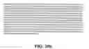 Fig. 46 - Protein encoded by a nucleic acid