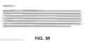 Fig. 47 - Protein encoded by a nucleic acid