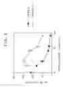 Fig. 04 - Method of suppressing differentiation by administering a human serrate-1 polypeptide