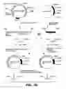 Fig. 07 - Expression of glycosyltransferase in Aspergillus