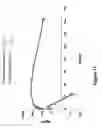 Fig. 14 - IL-7 fusion proteins