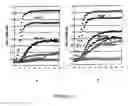 Fig. 02 - Lactic acid bacteria overproducing exopolysaccharides