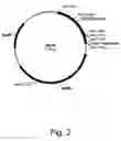 Fig. 03 - Methods for degrading lignocellulosic materials