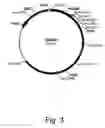 Fig. 04 - Methods for degrading lignocellulosic materials