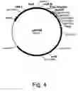 Fig. 05 - Methods for degrading lignocellulosic materials