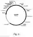 Fig. 06 - Methods for degrading lignocellulosic materials
