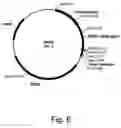 Fig. 07 - Methods for degrading lignocellulosic materials