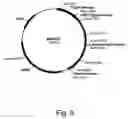 Fig. 10 - Methods for degrading lignocellulosic materials