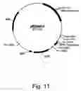 Fig. 13 - Methods for degrading lignocellulosic materials