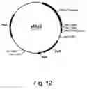 Fig. 14 - Methods for degrading lignocellulosic materials