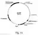 Fig. 15 - Methods for degrading lignocellulosic materials