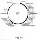 Fig. 16 - Methods for degrading lignocellulosic materials
