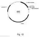 Fig. 17 - Methods for degrading lignocellulosic materials
