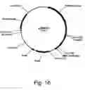Fig. 18 - Methods for degrading lignocellulosic materials