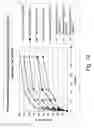Fig. 21 - Methods for degrading lignocellulosic materials