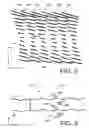Fig. 03 - Self-assembling-peptide-based structures and processes for controlling the self-assembly of such structures