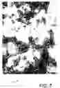 Fig. 07 - Self-assembling-peptide-based structures and processes for controlling the self-assembly of such structures