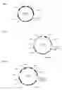 Fig. 03 - Methods for producing gamma-carboxylated proteins