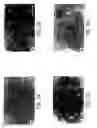Fig. 03 - Primate embryonic stem cell line
