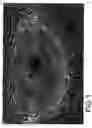Fig. 02 - Embryonic stem cells