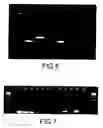 Fig. 06 - Embryonic stem cells