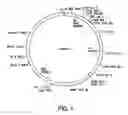Fig. 02 - Accessory functions for use in recombinant AAV virion production