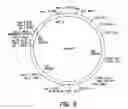 Fig. 04 - Accessory functions for use in recombinant AAV virion production