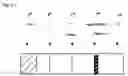 Fig. 03 - Non-specific 