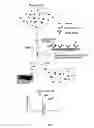 Fig. 02 - METHOD AND APPARATUS FOR MASS SPECTROMETRIC IMMUNOASSAY ANALYSIS OF SPECIFIC BIOLOGICAL FLUID PROTEINS