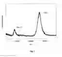 Fig. 03 - METHOD AND APPARATUS FOR MASS SPECTROMETRIC IMMUNOASSAY ANALYSIS OF SPECIFIC BIOLOGICAL FLUID PROTEINS