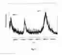 Fig. 06 - METHOD AND APPARATUS FOR MASS SPECTROMETRIC IMMUNOASSAY ANALYSIS OF SPECIFIC BIOLOGICAL FLUID PROTEINS