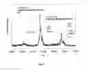 Fig. 09 - METHOD AND APPARATUS FOR MASS SPECTROMETRIC IMMUNOASSAY ANALYSIS OF SPECIFIC BIOLOGICAL FLUID PROTEINS