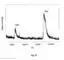 Fig. 11 - METHOD AND APPARATUS FOR MASS SPECTROMETRIC IMMUNOASSAY ANALYSIS OF SPECIFIC BIOLOGICAL FLUID PROTEINS