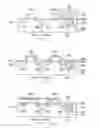 Fig. 05 - Salicided MOS device and one-sided salicided MOS device, and simultaneous fabrication method thereof