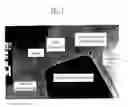 Fig. 02 - Semiconductor device and a method of manufacturing the same